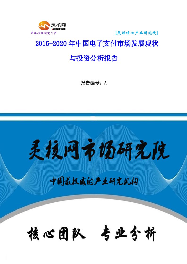 中国电子支付行业市场分析与发展趋势研究报告-灵核网