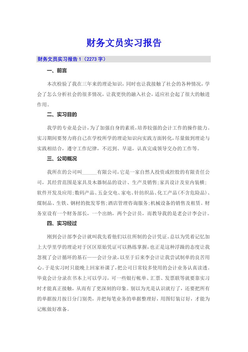 （模板）财务文员实习报告