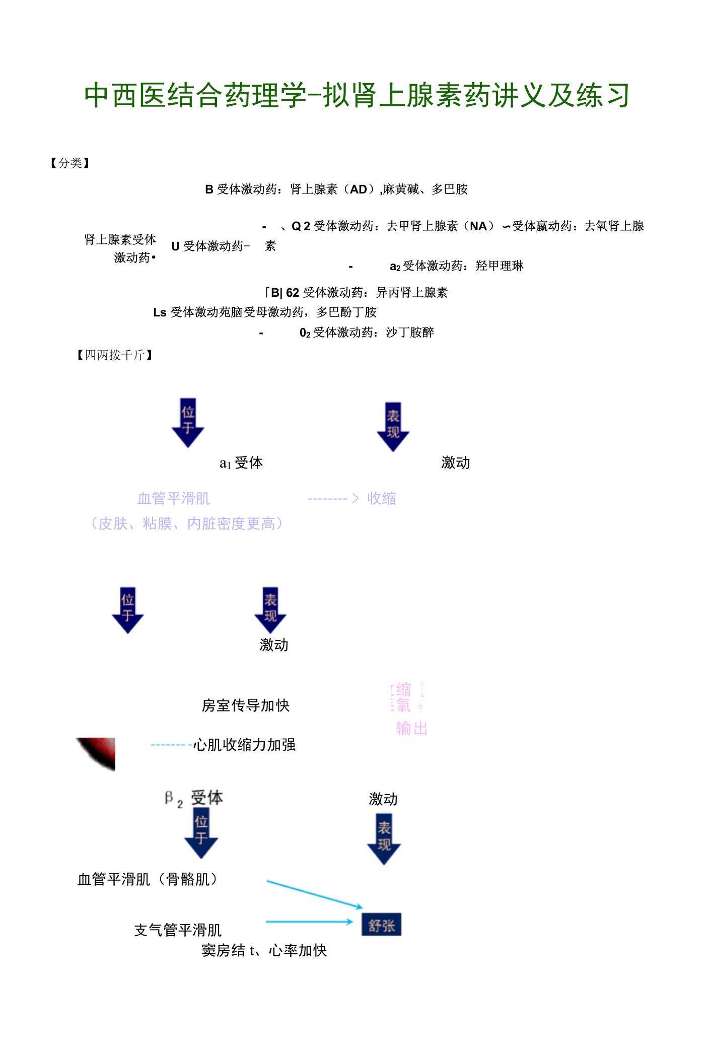 中西医结合药理学-拟肾上腺素药讲义及练习