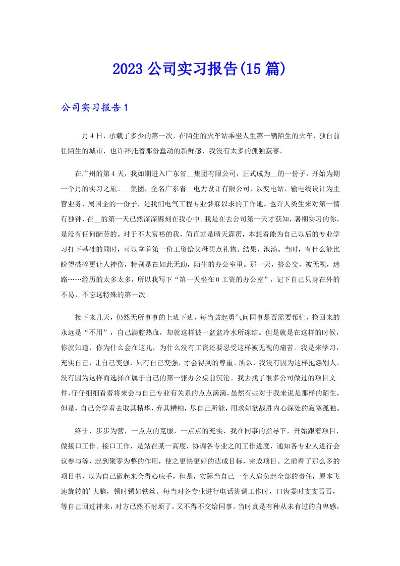 2023公司实习报告(15篇)（精选）