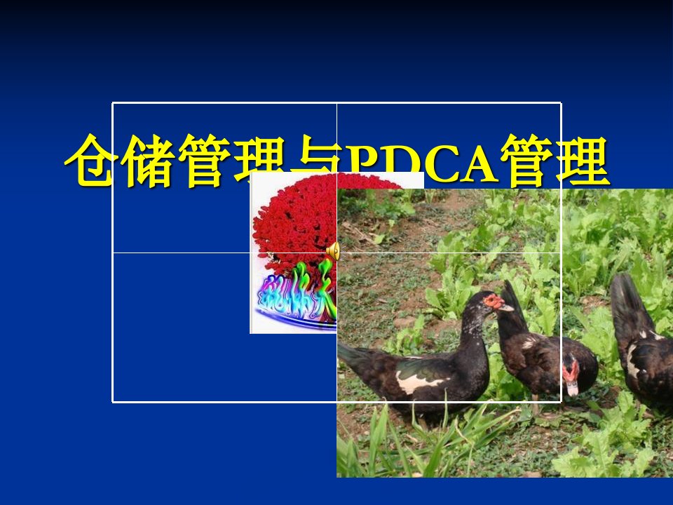 仓储管理与PDCA管理循环