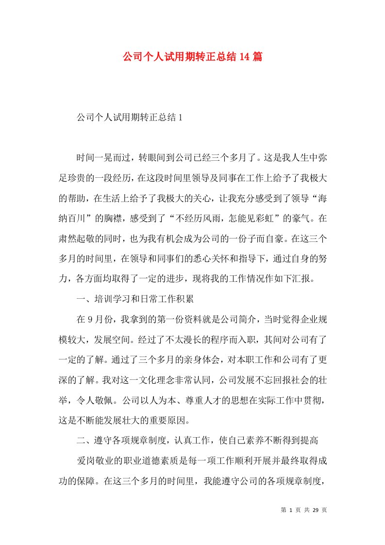 公司个人试用期转正总结14篇