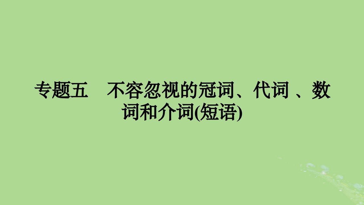 2025版高考英语一轮总复习语法专题突破专题5不容忽视的冠词代词数词和介词短语课件