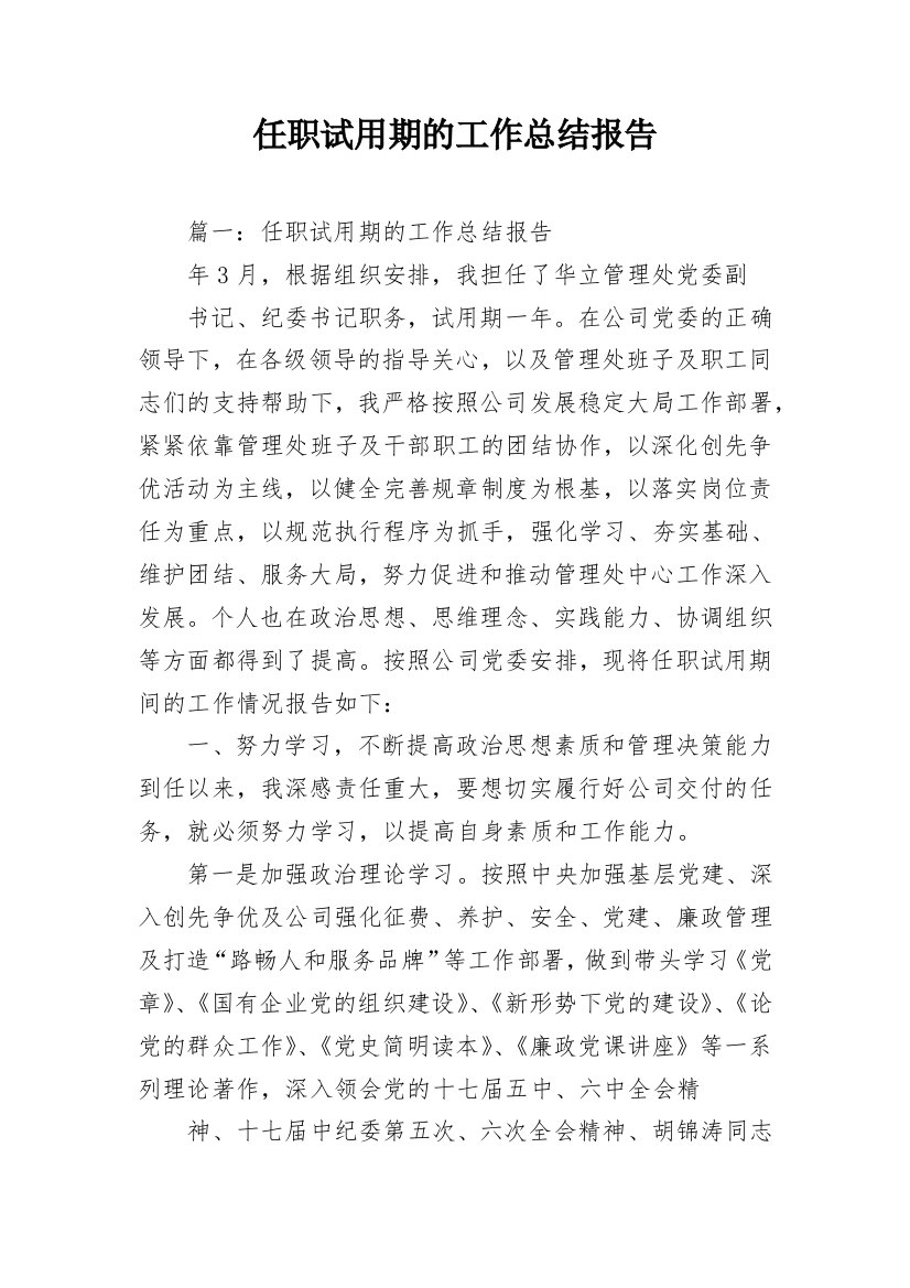 任职试用期的工作总结报告