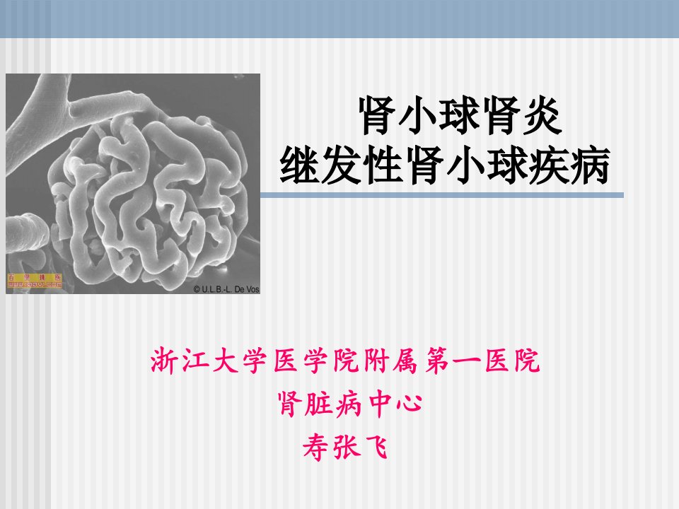 肾小球肾炎继发性肾小球疾病ppt课件