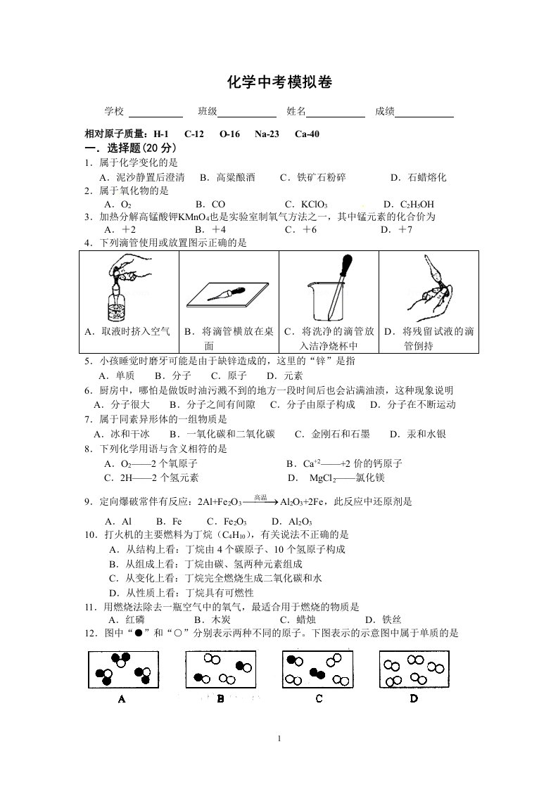 龙柏马金斌中考模拟卷