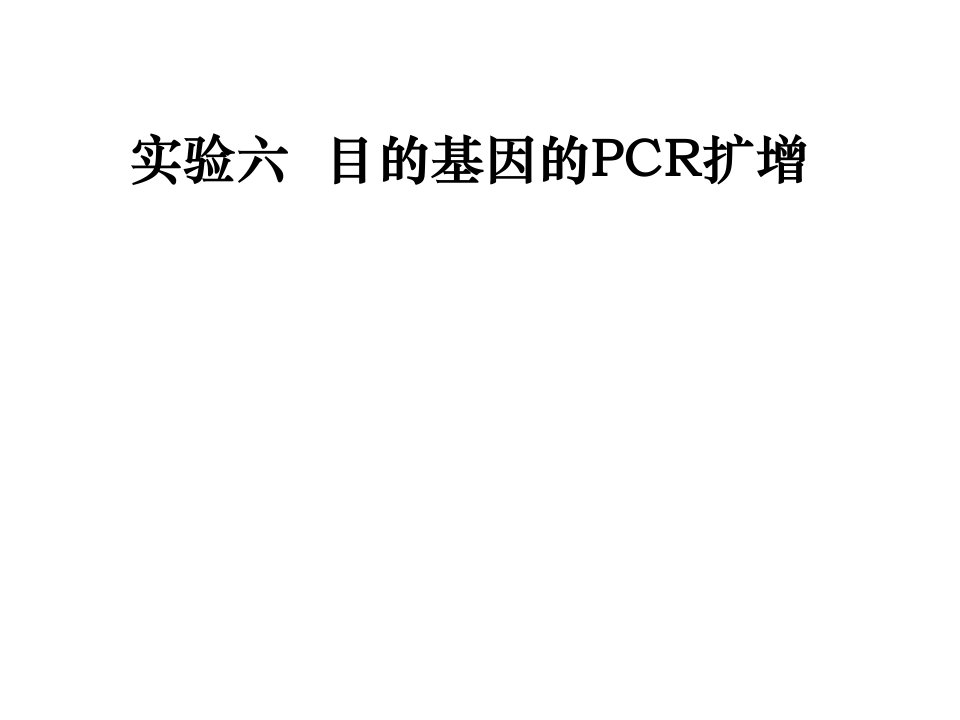 实验六目的基因的PCR扩增