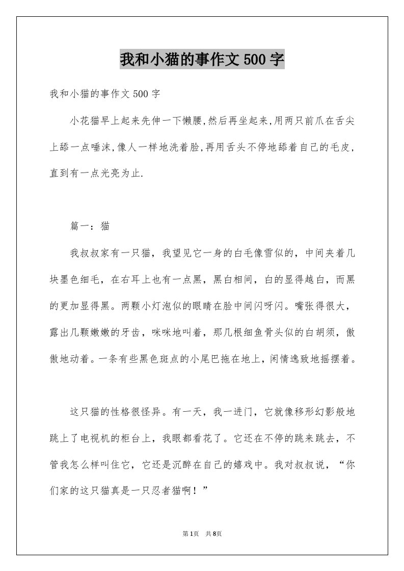 我和小猫的事作文500字