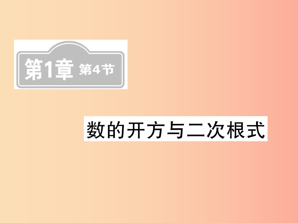 （新课标）2019中考数学复习