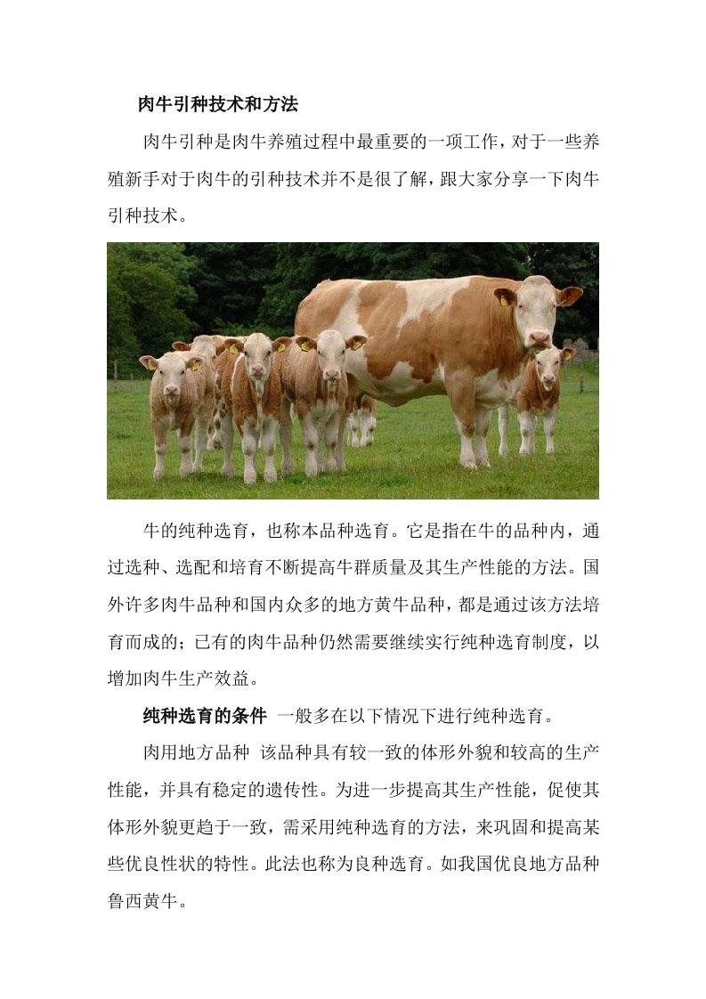 肉牛引种技术和方法