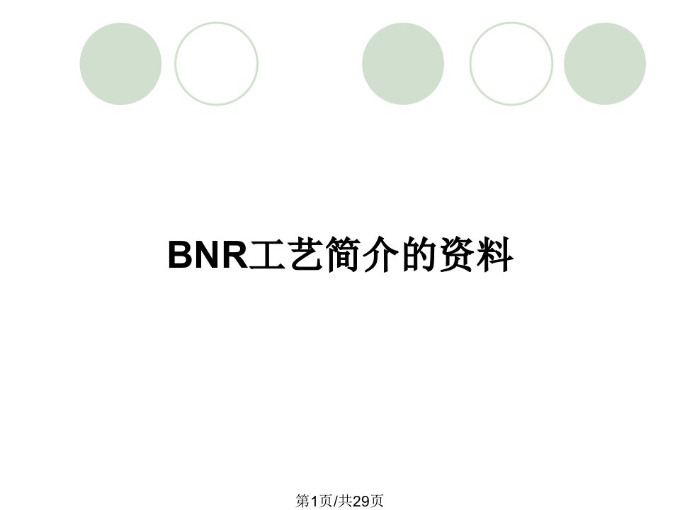 BNR工艺简介的资料