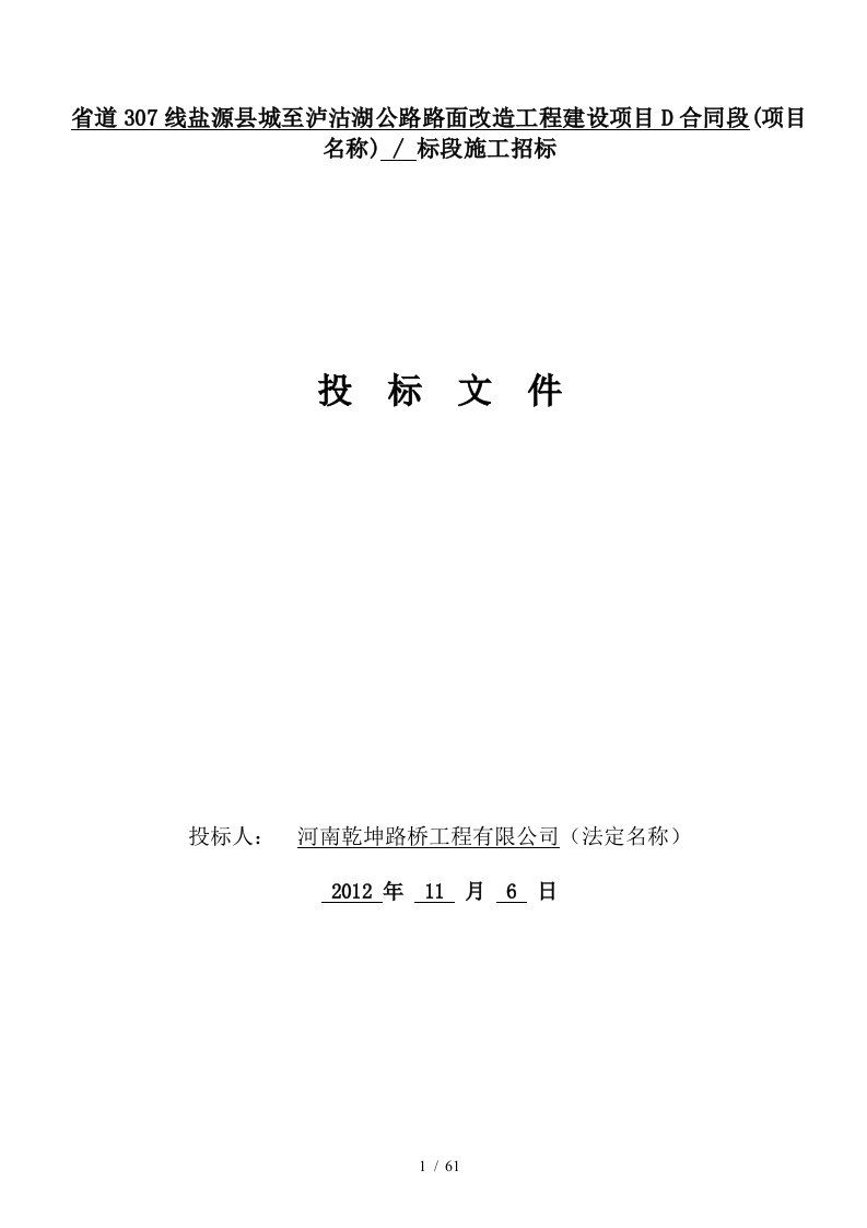 省道307线盐源县城至泸沽湖公路路面改造工程建设项目D