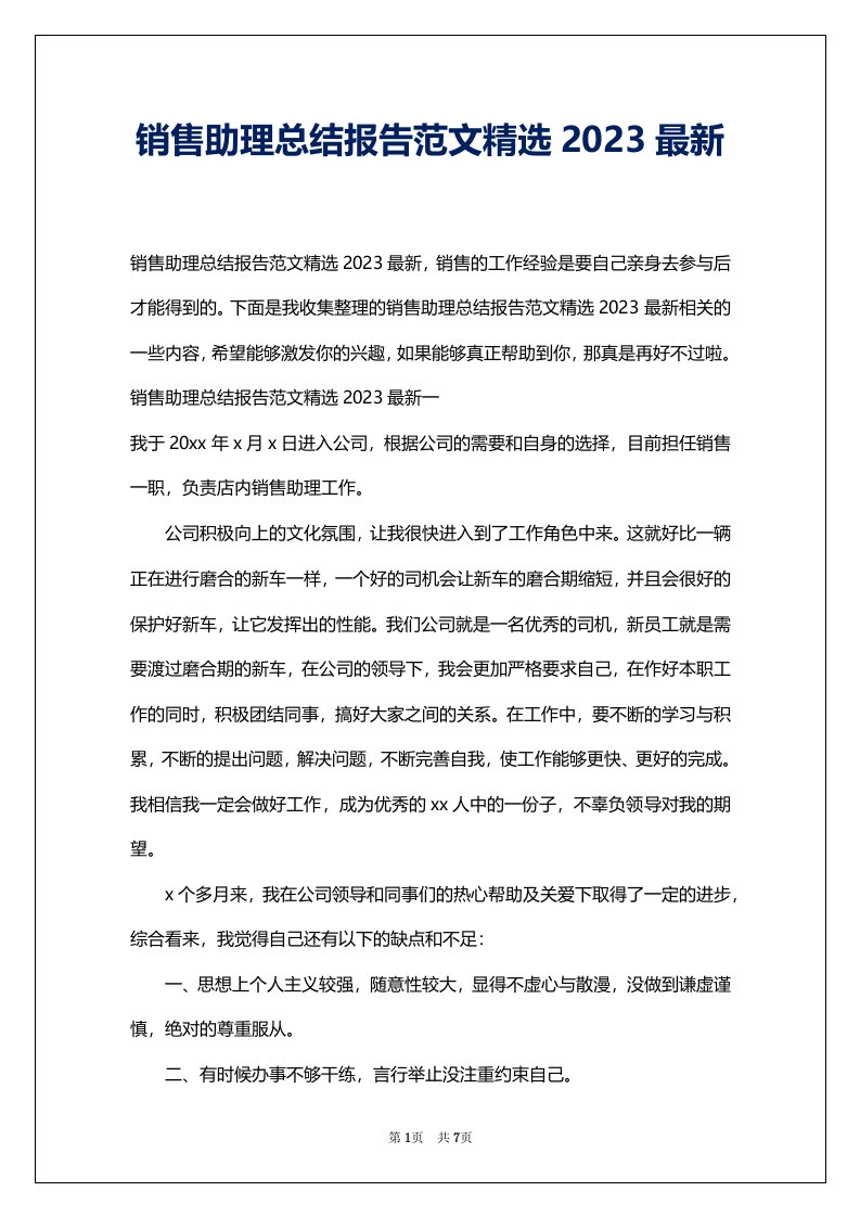 销售助理总结报告范文精选2023最新