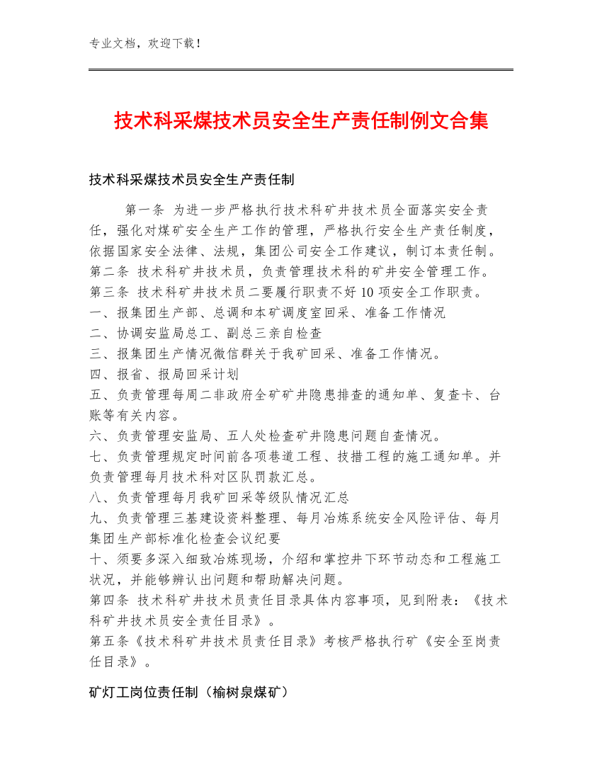 技术科采煤技术员安全生产责任制例文合集