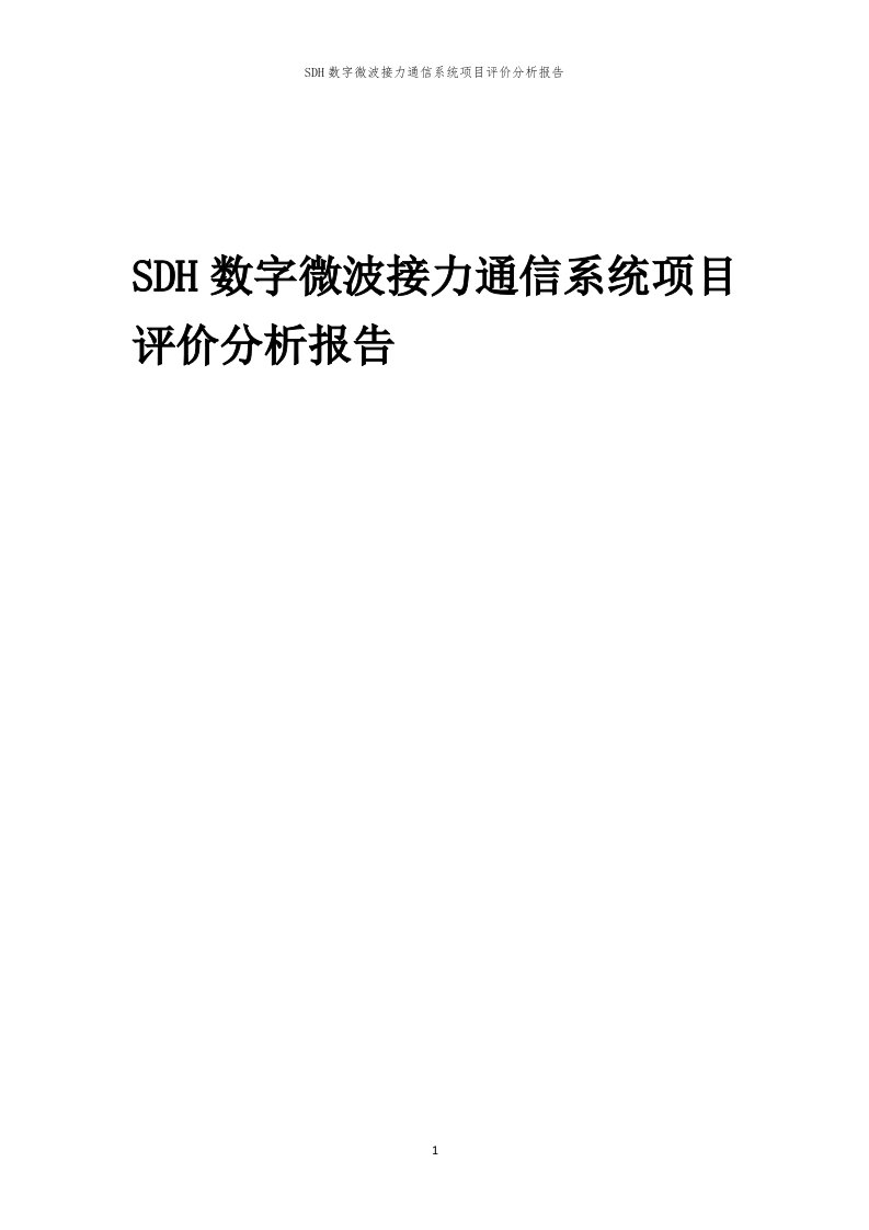 SDH数字微波接力通信系统项目评价分析报告