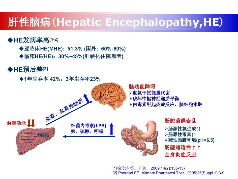 益生菌与肝性脑病ppt课件