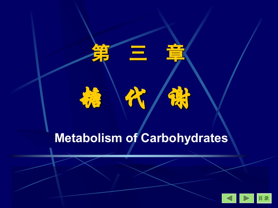 第3章糖代谢名师编辑PPT课件