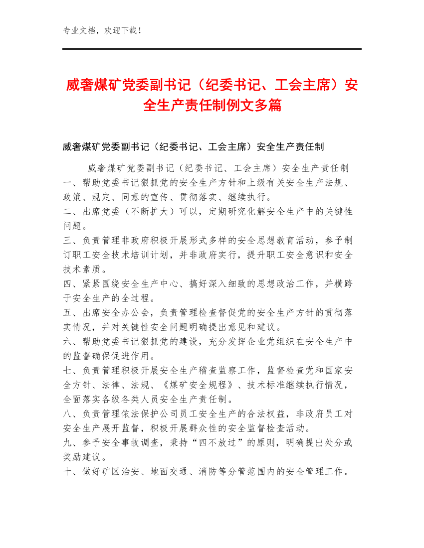 威奢煤矿党委副书记（纪委书记、工会主席）安全生产责任制例文多篇