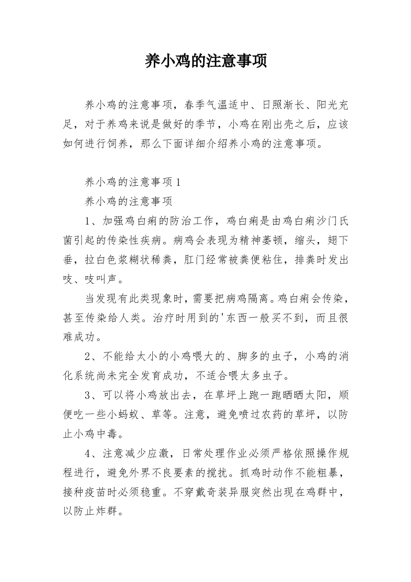 养小鸡的注意事项