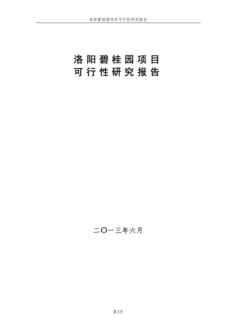 洛阳碧桂园项目可行性研究报告