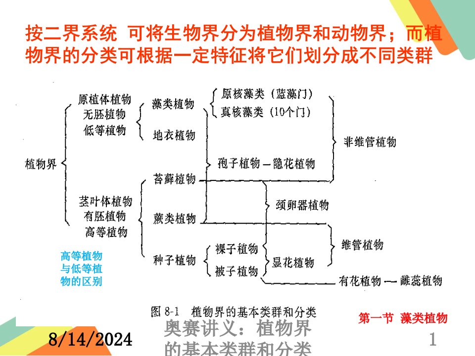 2020年奥赛讲义：植物界的基本类群和分类