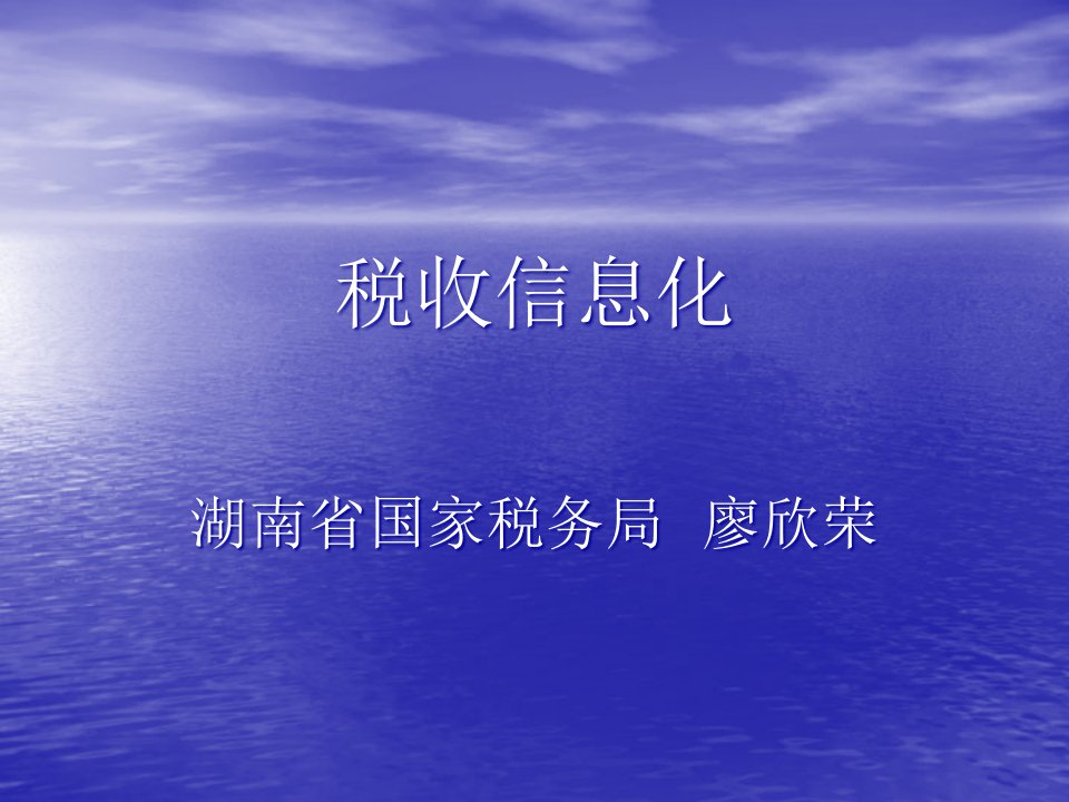 17税收信息化(廖欣荣)