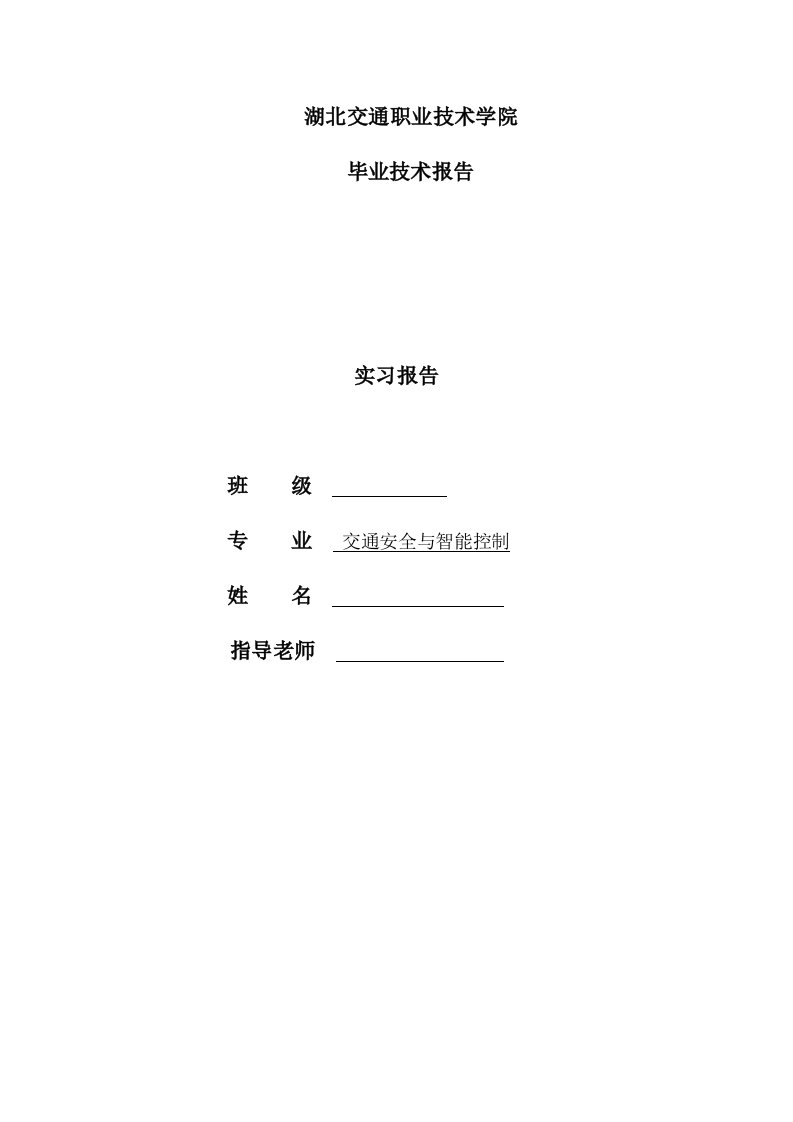 武汉市支点信息技术有限公司实习报告