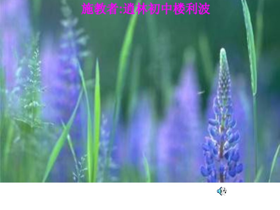 鲁教版七下逍林初中生物入侵者ppt课件16[最新]