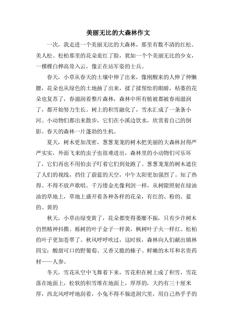 美丽无比的大森林作文