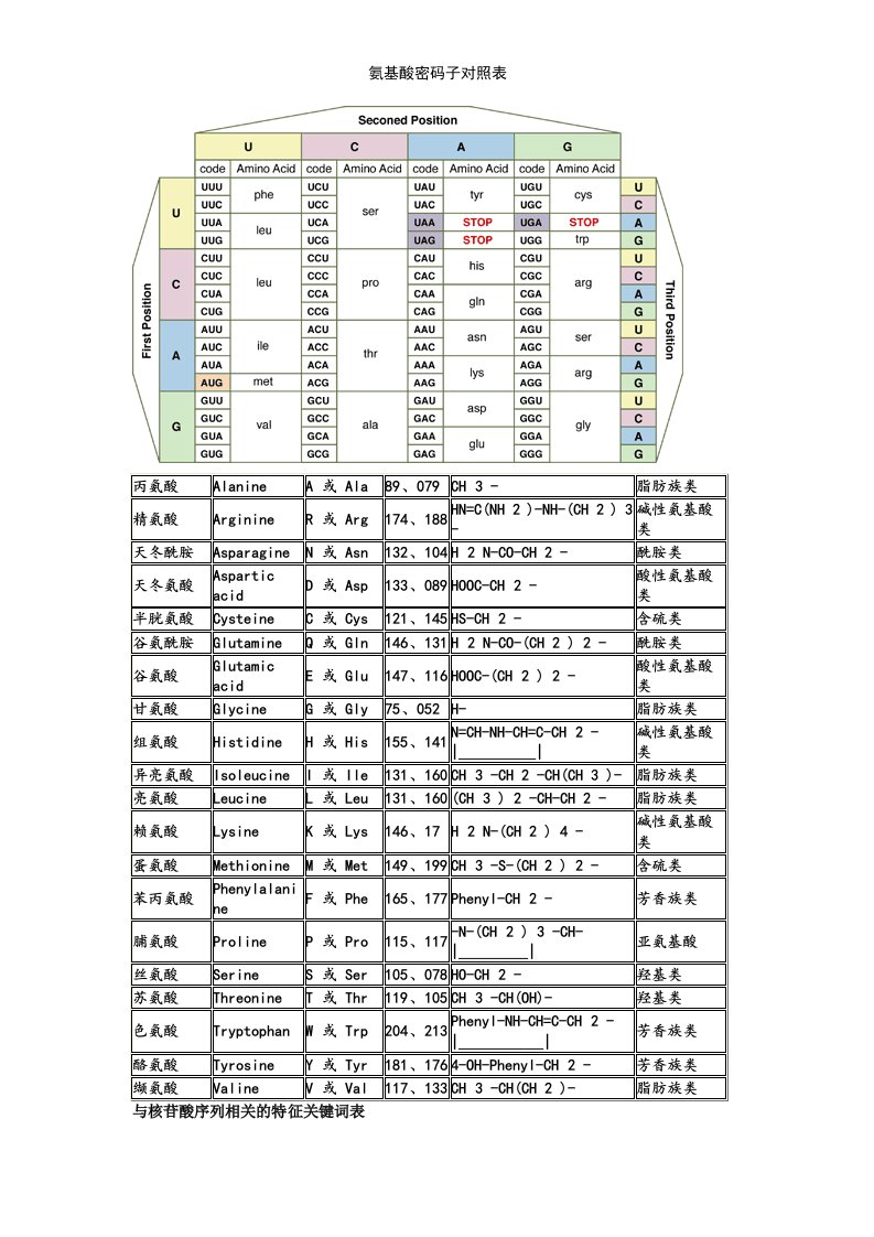 氨基酸密码子对照表