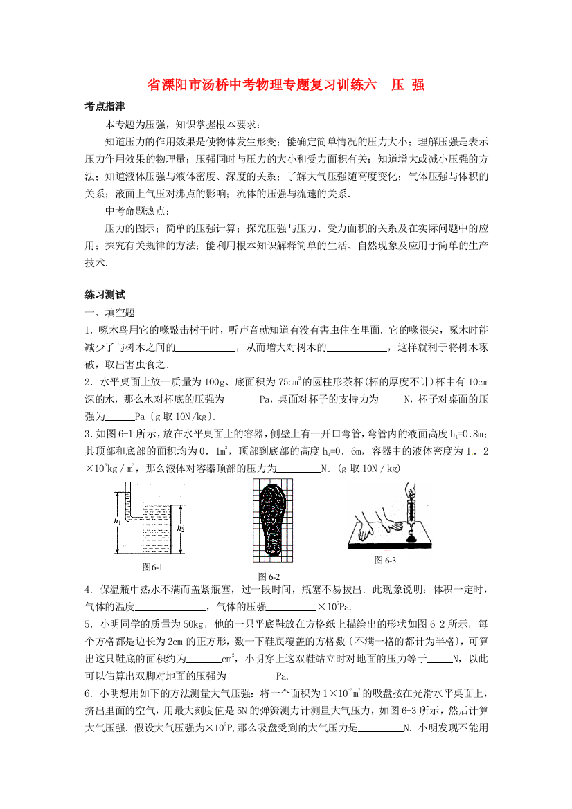 （整理版）溧阳市汤桥初级中考物理专题复习训练六压强