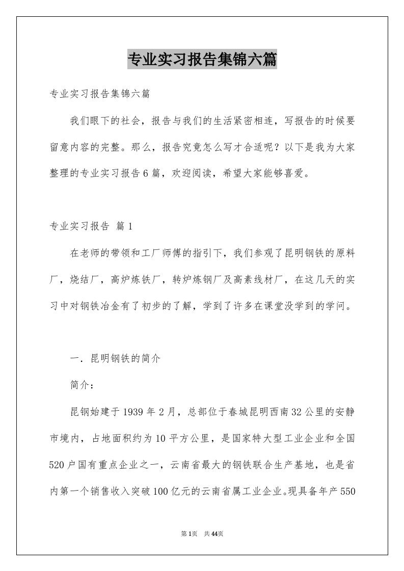 专业实习报告集锦六篇例文