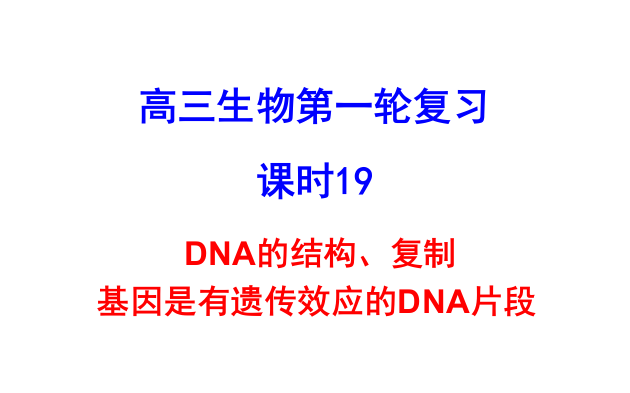 19DNA的结构、复制基因是有遗传效应的DNA片段