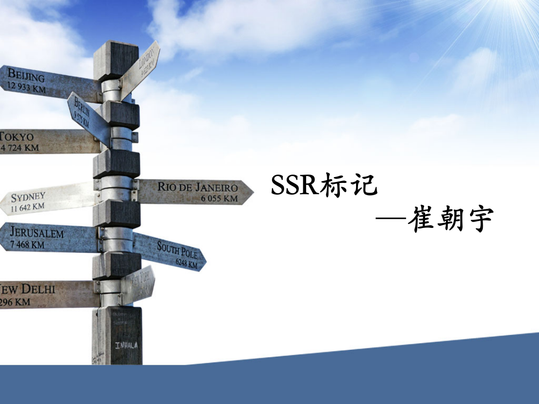 SSR分子标记讲解课件