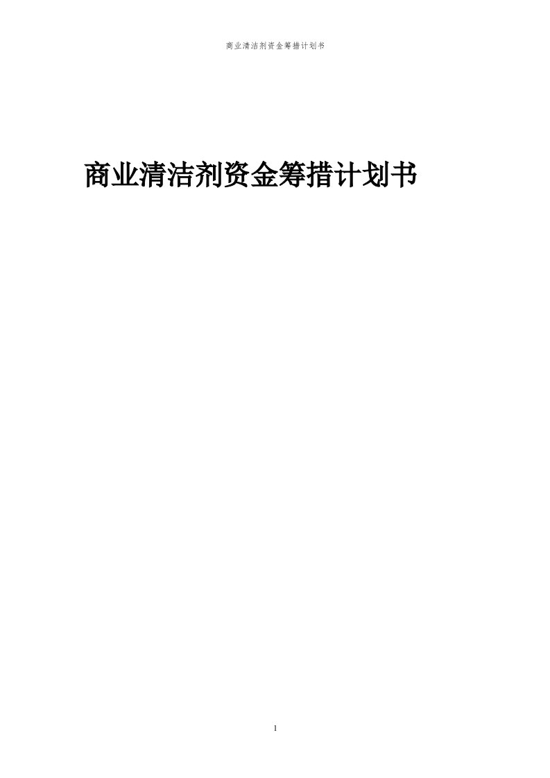 2024年商业清洁剂项目资金筹措计划书代可行性研究报告