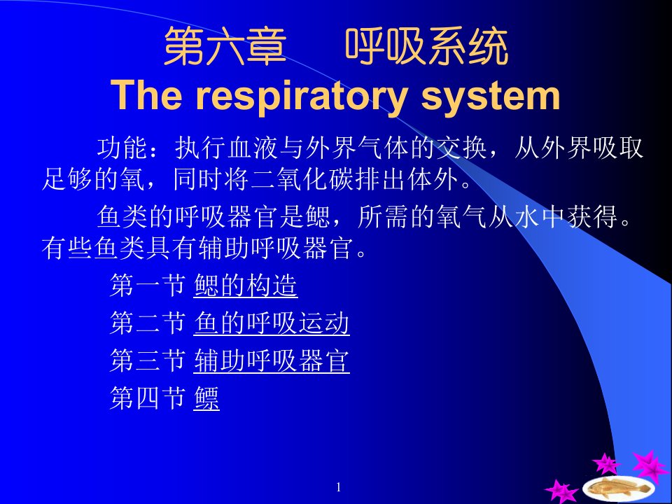 第六章鱼类的呼吸系统