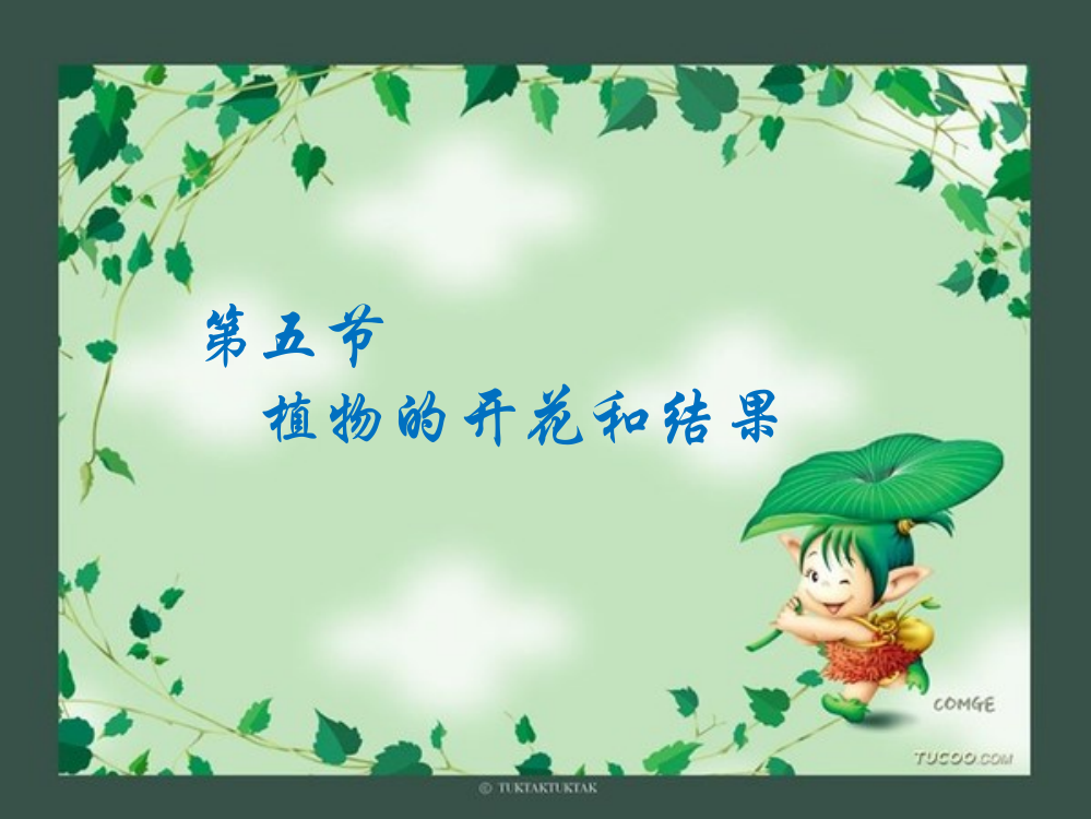 （中小学资料）植物的开花和结果