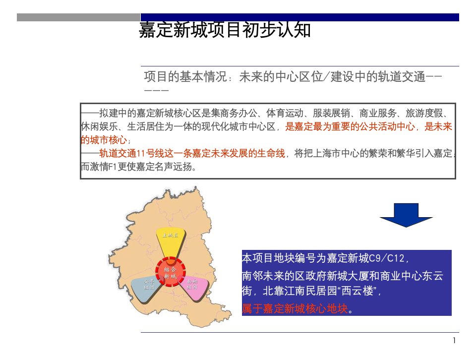 保利地产嘉定项目策划报告