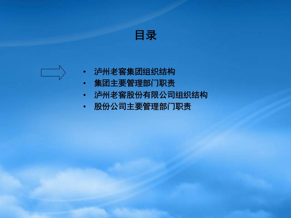 新华信的泸州老窖项目报告