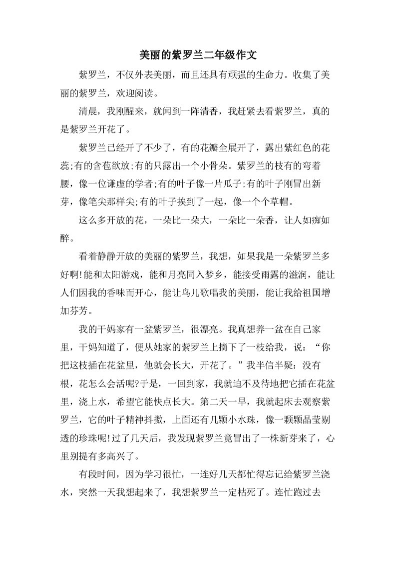 美丽的紫罗兰二年级作文