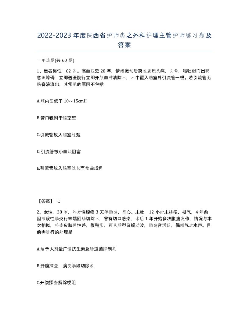 2022-2023年度陕西省护师类之外科护理主管护师练习题及答案