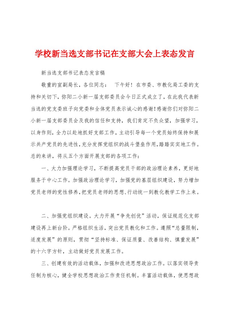 学校新当选支部书记在支部大会上表态发言