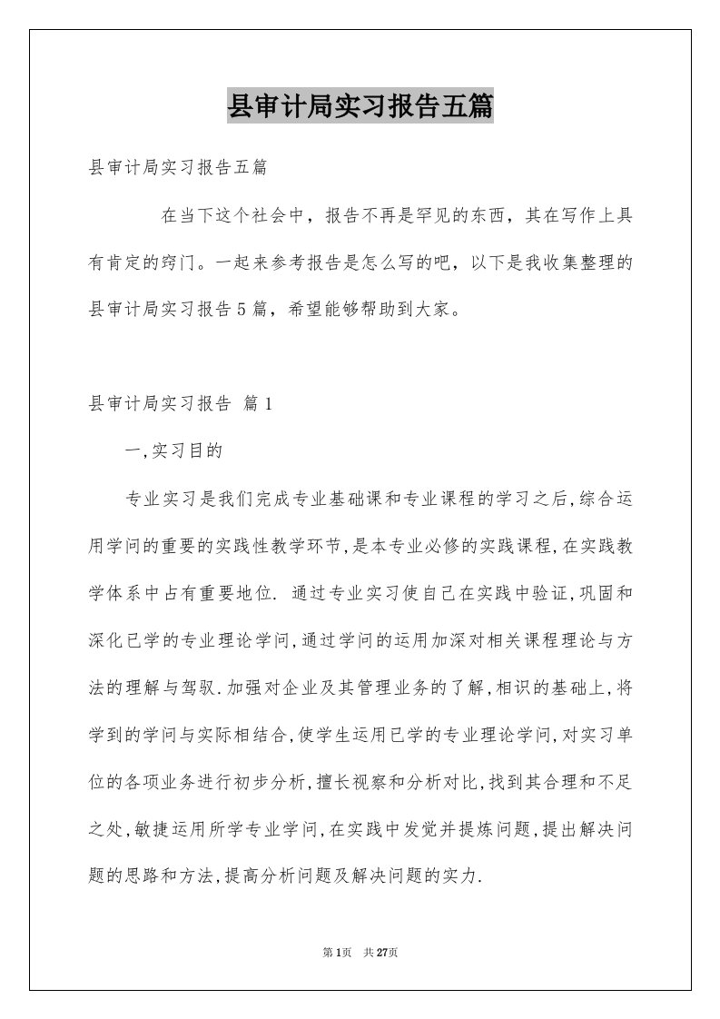 县审计局实习报告五篇