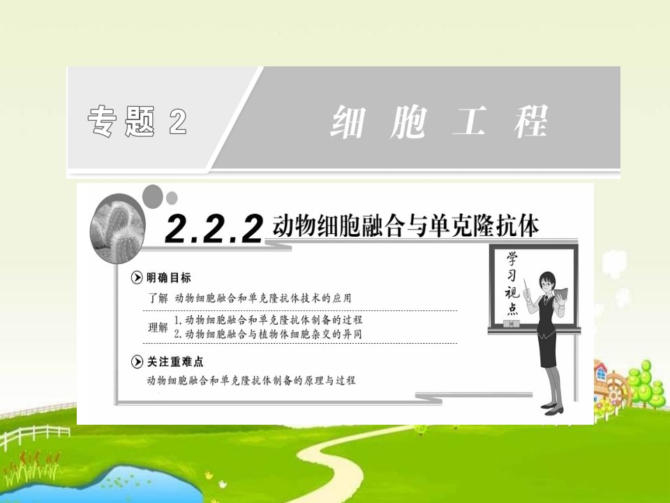 动物细胞融合与单克隆抗体复习课件