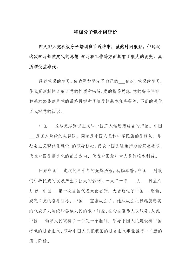 积极分子党小组评价