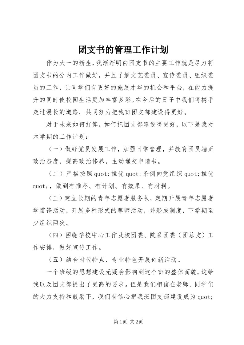 6团支书的管理工作计划