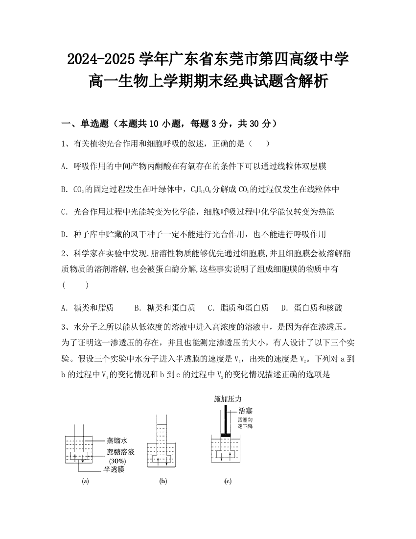 2024-2025学年广东省东莞市第四高级中学高一生物上学期期末经典试题含解析