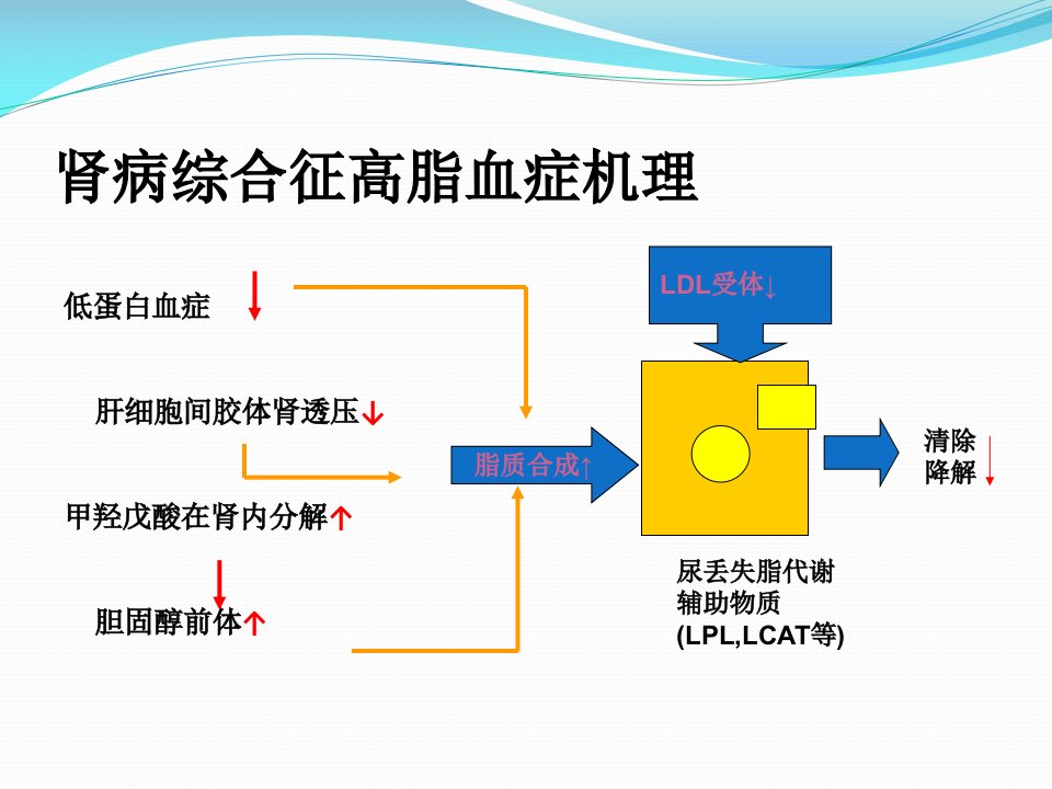 他汀类区别与在肾内肾综的应用课件