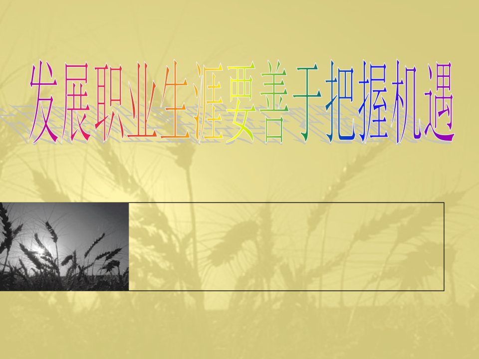 职业规划-第三课发展职业生涯要善于把握机遇2