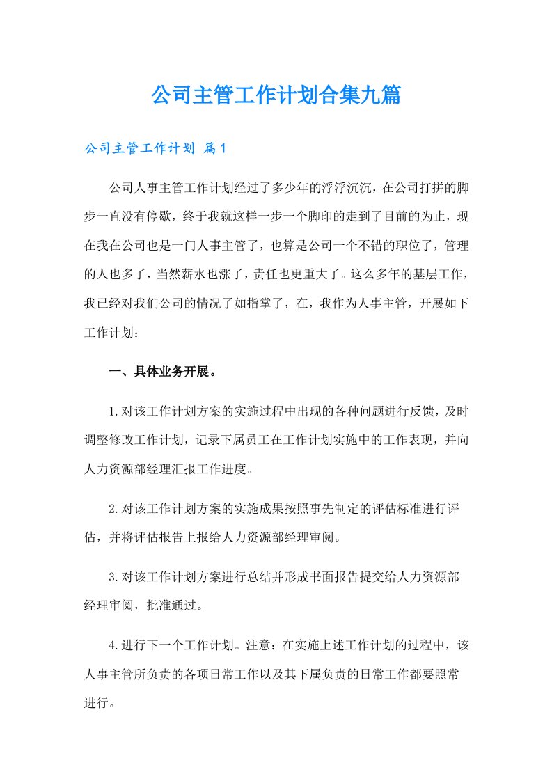 公司主管工作计划合集九篇